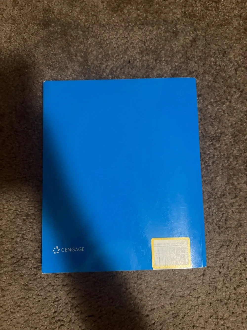 Cengage ‘Understanding Art’ Custom Edition Textbook